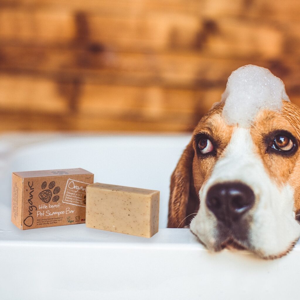 Three Little Dog Grooming Tips for Autumn_LIttleSoapCompany.co.uk