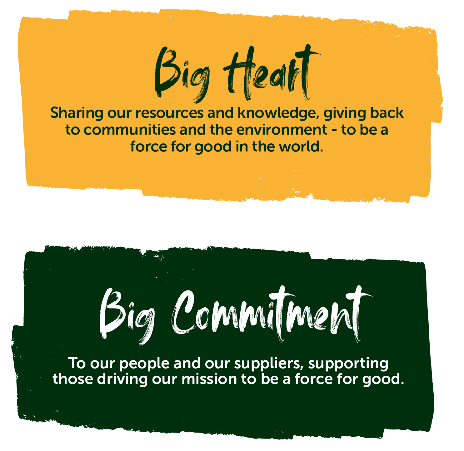 "Big Heart - Sharing our resources and knowledge, giving back to communities and the environment - to be a force for good in the world." and "Big Commitment - To our people and our suppliers those driving our mission to be a force for good."